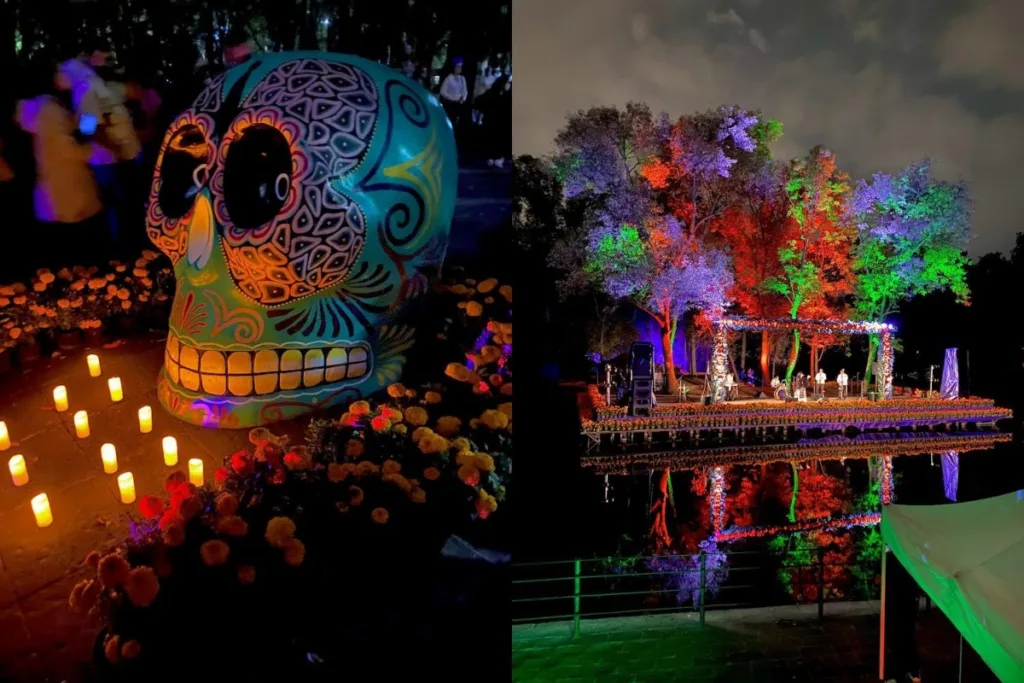 Lánzate al Sendero del Cempasúchil en Chapultepec, conoce las fechas, horarios, costo de la entrada, altares y show de drones para Día de Muertos 2026. ¿Ya sabías de este evento?