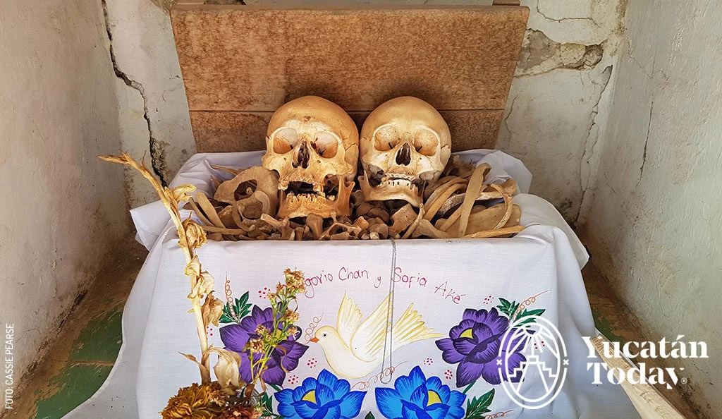 Descubre dónde celebrar el Día de Muertos 2026 en México, sus tradiciones, festivales y destinos para vivir una experiencia inolvidable. ¿A cuál te gustaría ir?