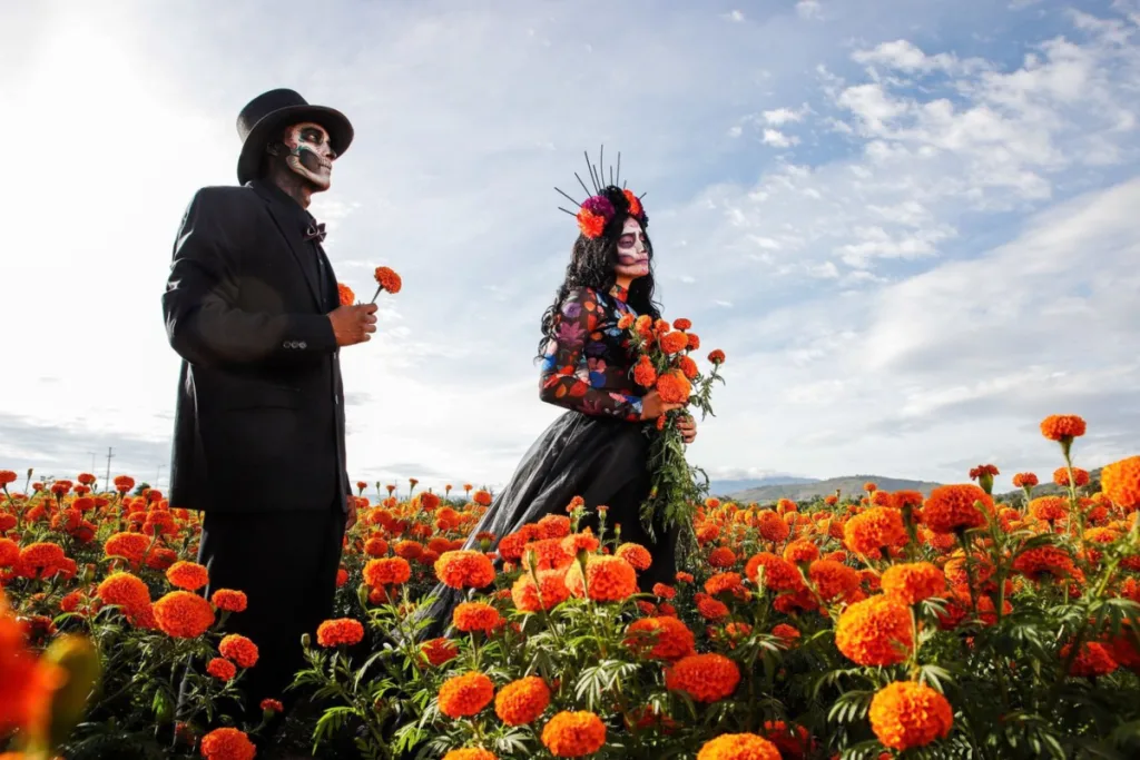 Descubre qué hacer en Guadalajara del 23 al 25 de octubre de 2026: Calaverandia, campos de cempasúchil y una carrera nocturna de zombis. ¿Ya sabías?