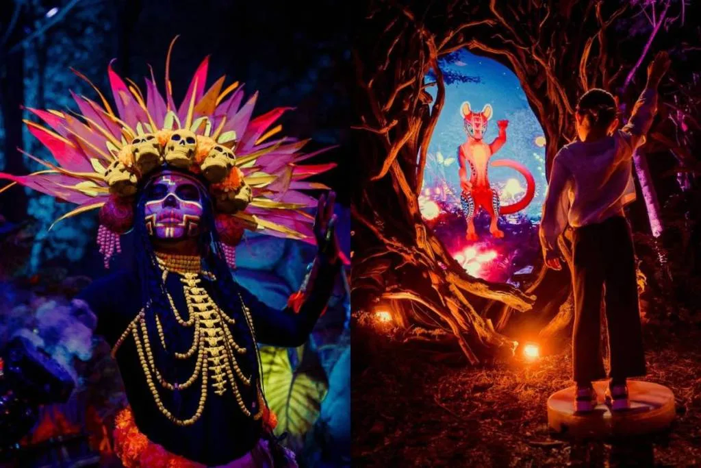 Descubre qué hacer en Guadalajara del 23 al 25 de octubre de 2026: Calaverandia, campos de cempasúchil y una carrera nocturna de zombis. ¿Ya sabías?