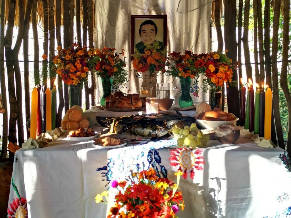 Descubre qué es el mucbipollo, el tamal maya que se cocina bajo tierra durante el Hanal Pixán, su historia, ingredientes y significado en Día de Muertos. ¿Ya lo conocías?