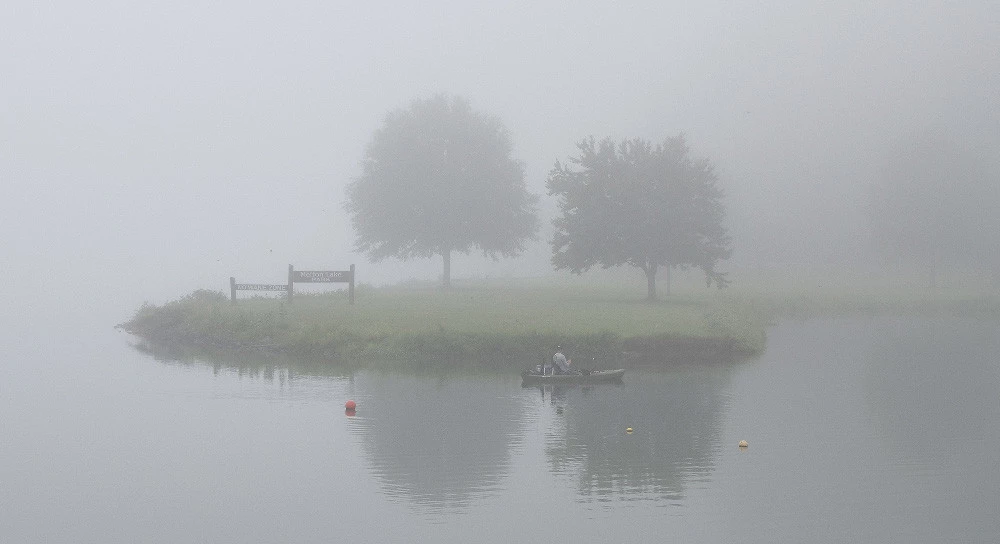Un bosque cubierto de neblina puede convertirse en una de las postales más bonitas de cualquier viaje otoñal, pero fotografiarlo tiene sus trucos. Antes de sacar la cámara o el celular, aprende a aprovechar la luz, la composición y ese ambiente misterioso sin perder la esencia del paisaje.