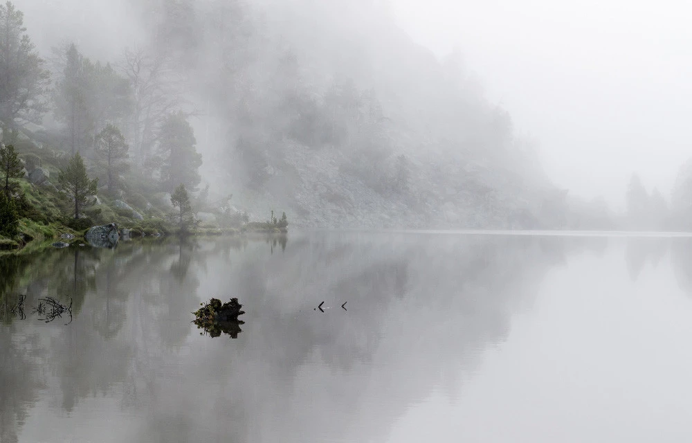 Un bosque cubierto de neblina puede convertirse en una de las postales más bonitas de cualquier viaje otoñal, pero fotografiarlo tiene sus trucos. Antes de sacar la cámara o el celular, aprende a aprovechar la luz, la composición y ese ambiente misterioso sin perder la esencia del paisaje.