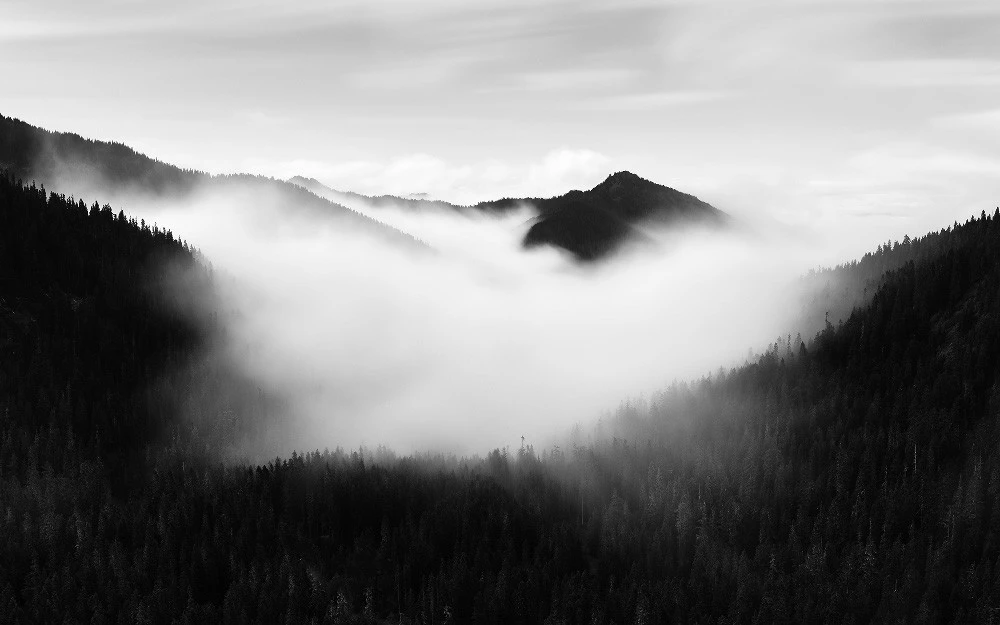 Un bosque cubierto de neblina puede convertirse en una de las postales más bonitas de cualquier viaje otoñal, pero fotografiarlo tiene sus trucos. Antes de sacar la cámara o el celular, aprende a aprovechar la luz, la composición y ese ambiente misterioso sin perder la esencia del paisaje.
