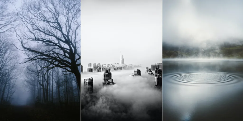 Un bosque cubierto de neblina puede convertirse en una de las postales más bonitas de cualquier viaje otoñal, pero fotografiarlo tiene sus trucos. Antes de sacar la cámara o el celular, aprende a aprovechar la luz, la composición y ese ambiente misterioso sin perder la esencia del paisaje.