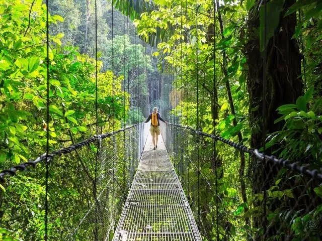 La neblina entre los árboles, los senderos húmedos y el silencio de la naturaleza pueden hacer inolvidable una escapada. Pero antes de emprender el viaje, hay detalles que conviene conocer para disfrutarla sin contratiempos. ¿Te gustaría realizar esta aventura?